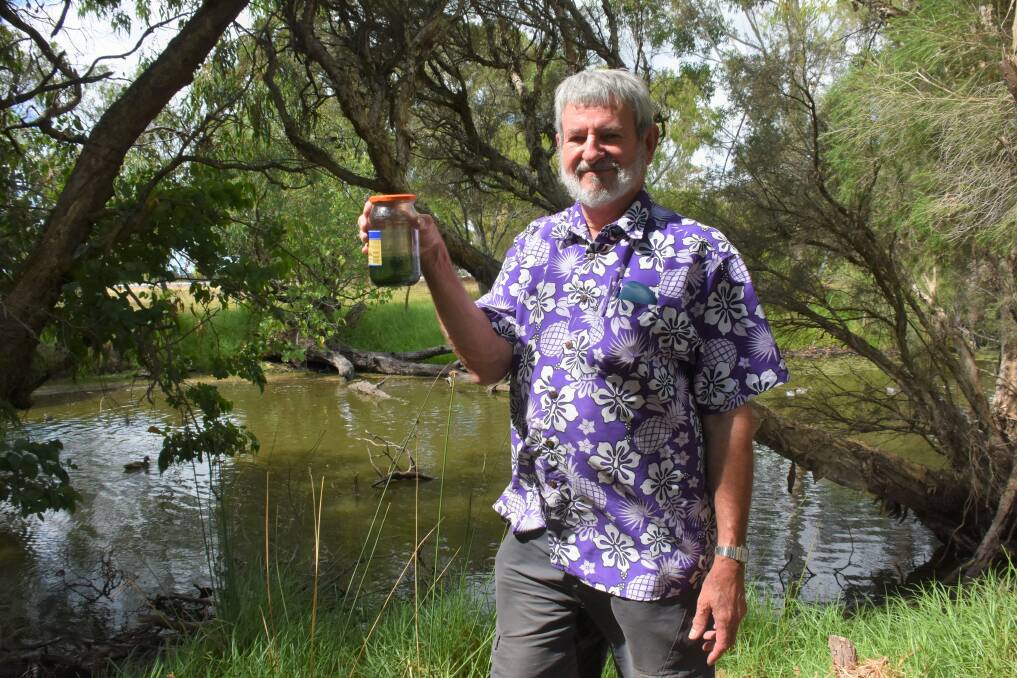 Busselton resident Dr Andrew Dickie is concerned that blue green algae in the Lower Vasse River may contain the toxin BMAA which has been linked to neurological disorders such as motor neuron disease.