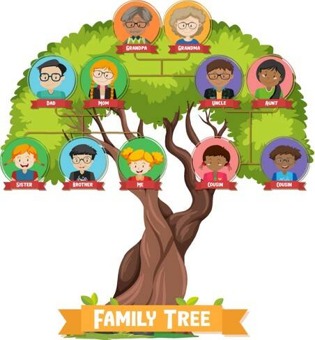 A graphic of what a family tree could look like.