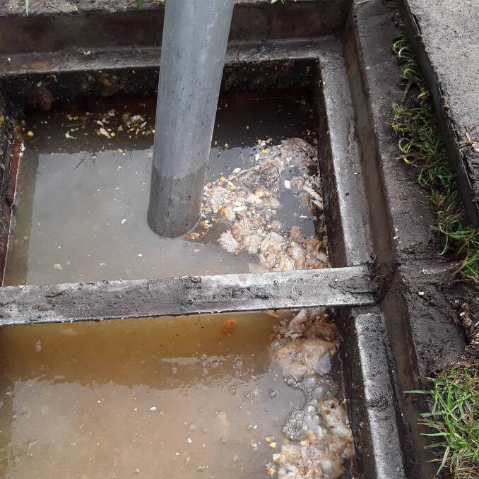 Flush: Wastewater blockage from wet wipes and tissues in Busselton. Picture: supplied.