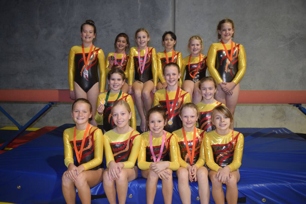 Horizon Gymnastics Club gymnasts earned medals and praise at a recent state competition. Image Sophie Elliott.