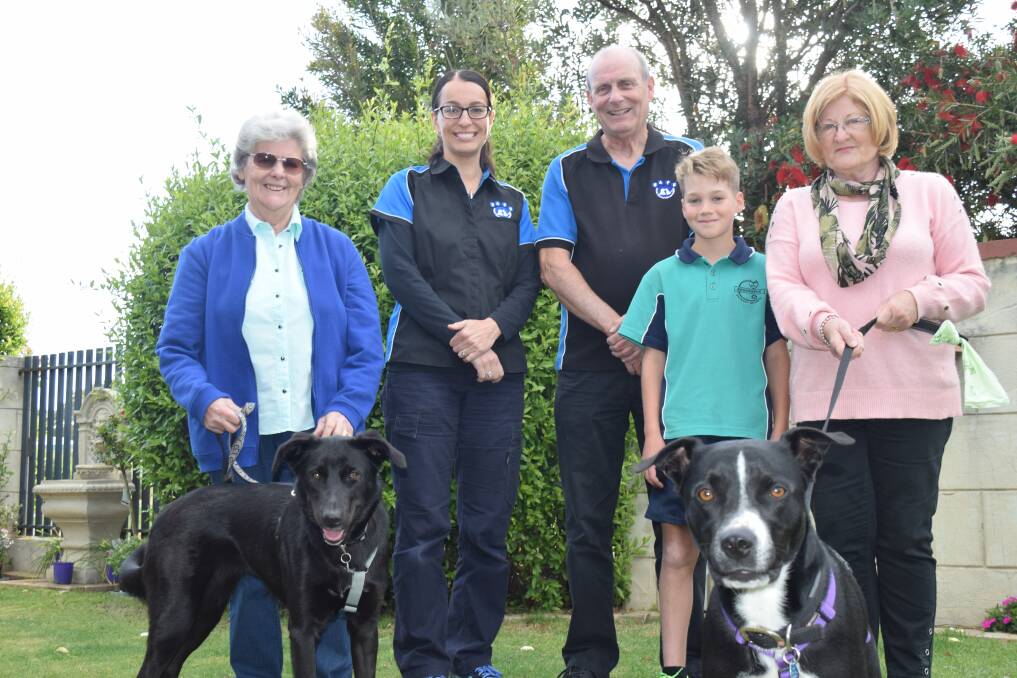 SAFE Busselton's Marylene Glover and Geoff Cusworth with foster carers Mary Clark, Finlay Cutbush and Di McCrow. Tess and Baxter, pictured, are available for adoption.