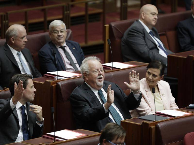 Queensland senator Barry O'Sullivan's motion criticising pro-choice protesters has failed.