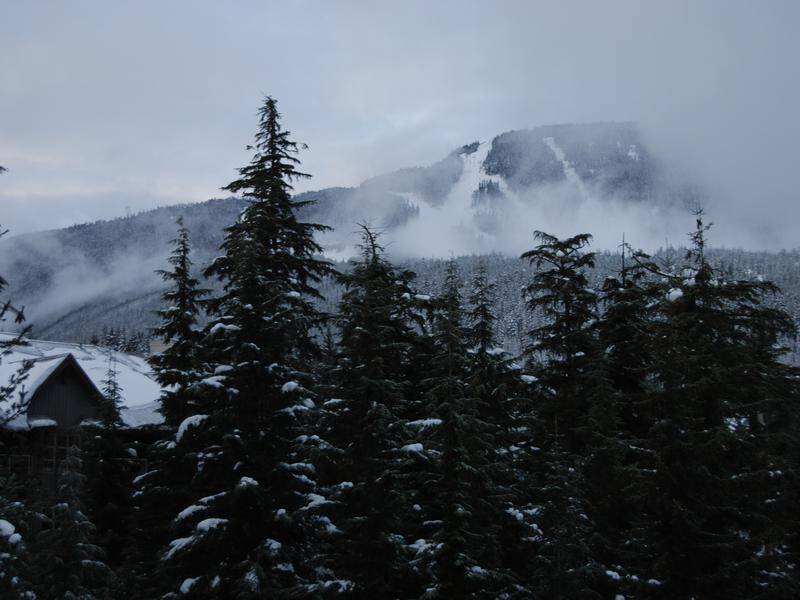 A NSW woman has been killed in an avalanche at Whistler Blackcomb ski resort in Canada.