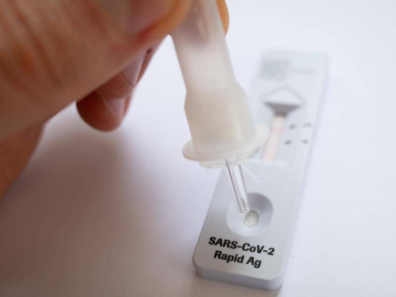 Consumers can find a list of approved RAT (Rapid Antigen Test) kits on the Therapeutic Goods Administration website. Photo: File image