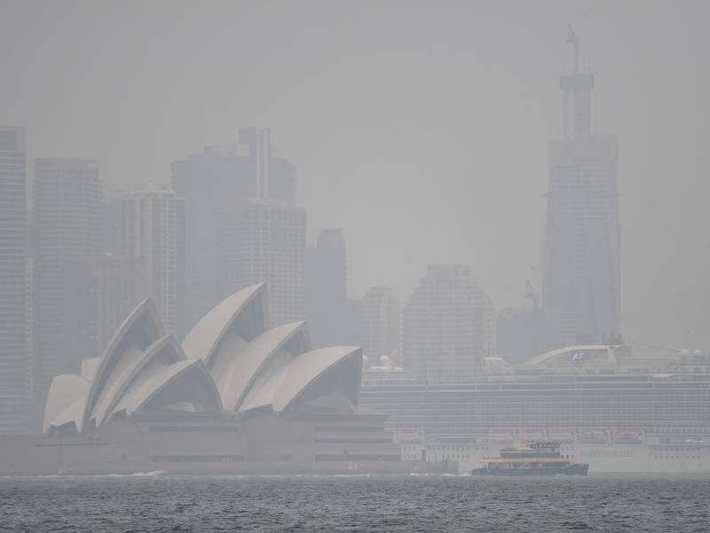 A health inquiry has been set up into Sydney summer smoke haze.