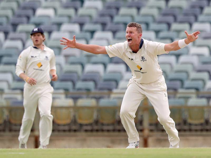 Peter Siddle's stalled Test career has been given new life with a call-up to the national side.