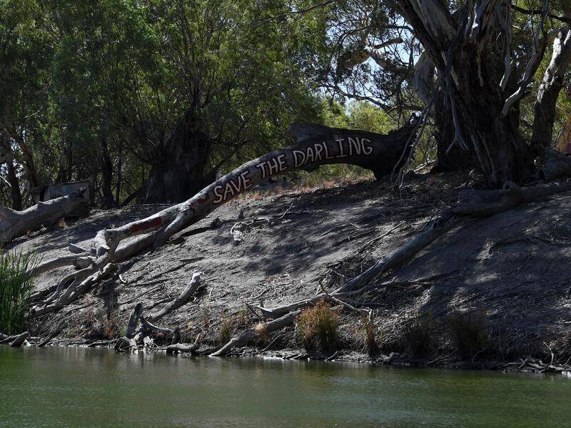 The Darling River and Menindee Lakes are under pressure but irrigators say they're not to blame.