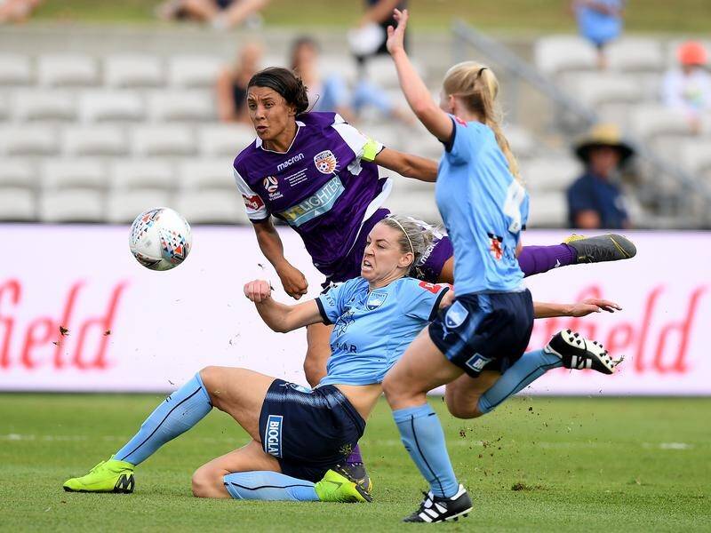 Glory coach Bobby Despotovski was not happy with the surface of the W-League grand final pitch.