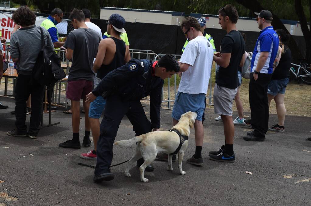 Police drug dog sniffing patrols entering Southbound 2015. Photo: Ted May. 