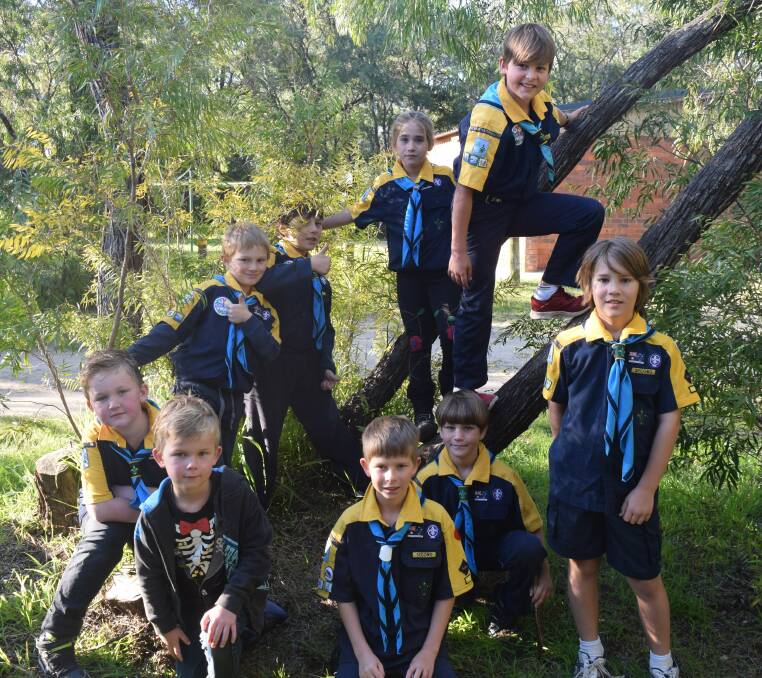 The First Cape Naturaliste Cub Scouts need a new cub leader.
