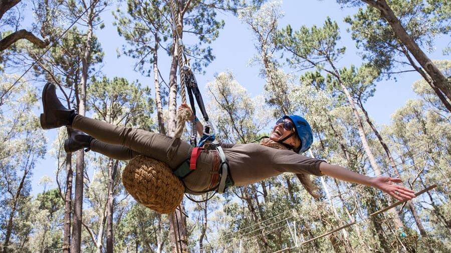 Tourism group to acquire Forest Adventures South West