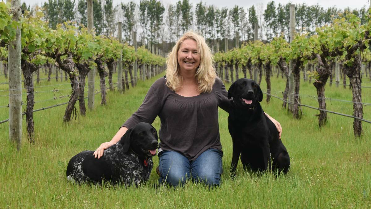 Margaret River winemaker and former president of the Margaret River Wine Association Cath Oates has been appointed as acting Chair of Wine Australia.