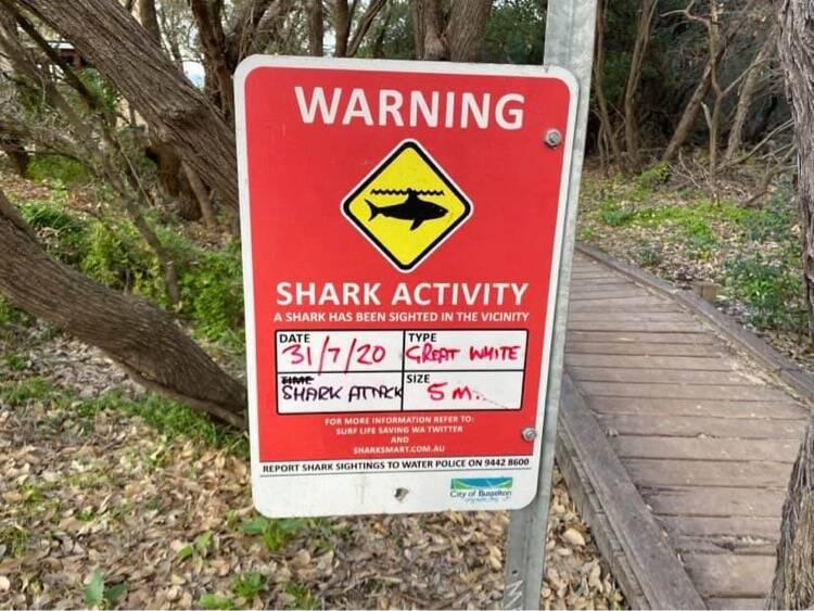 Bunker Bay remains closed after shark attack