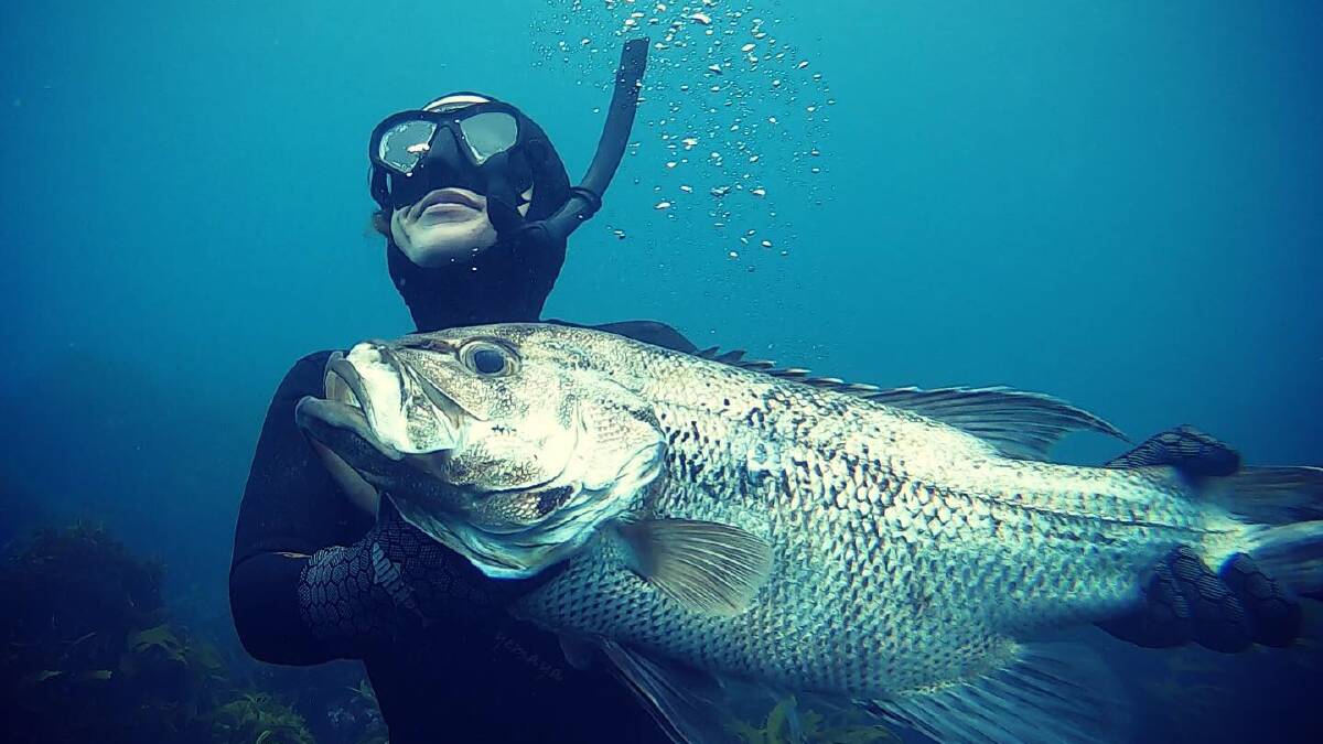 'Epic' month on the water | Fishing and Diving around the Capes