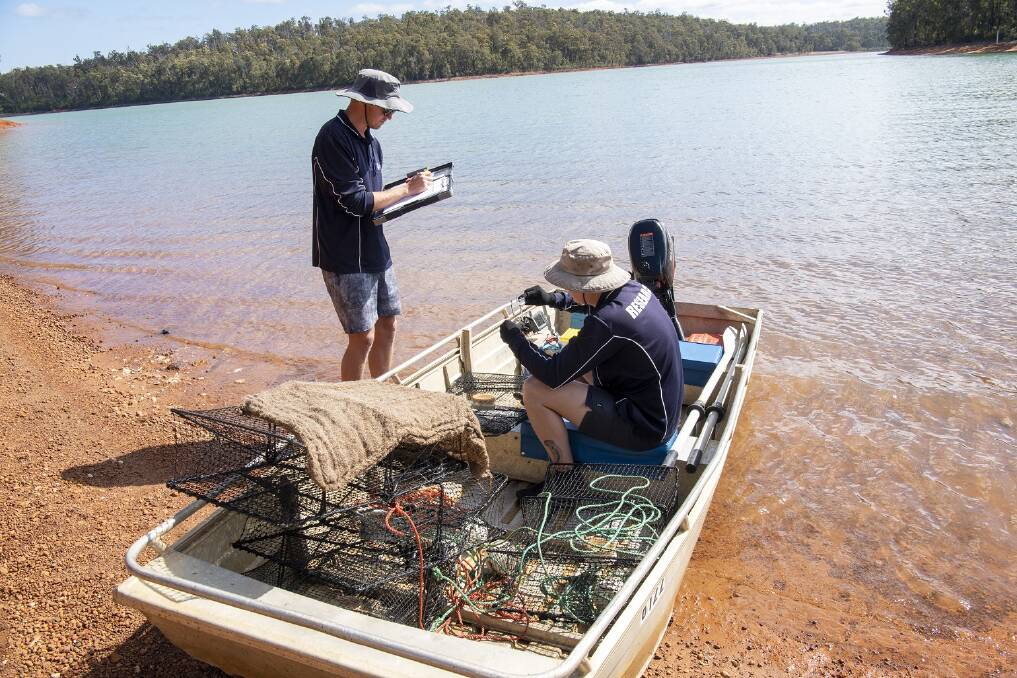 Marron tagging research at Waroona Dam. Photo: DPIRD
