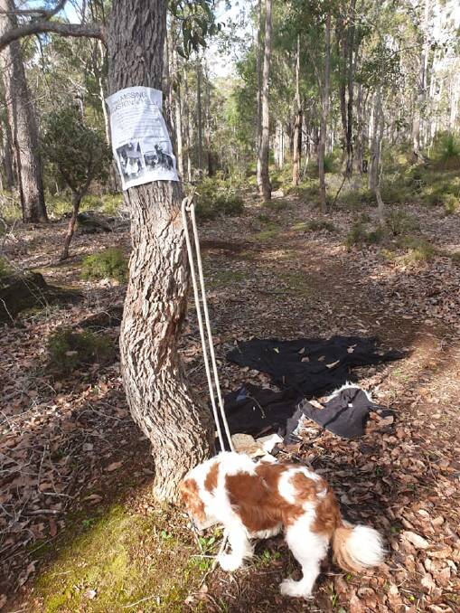 Blankets, food and posters were left at points along the search route, in the hope of recovering the dogs.