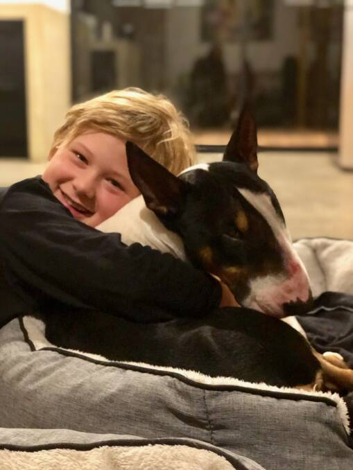 8 year old Geordie welcomes home a tired and hungry - but otherwise healthy - Gaston the Bull Terrier. Photos: Supplied