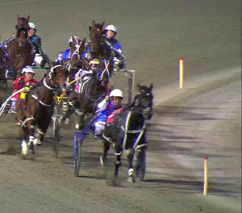 Out of the woods: Three Bears in his winning race at Gloucester Park on Friday night. Photo: Supplied.