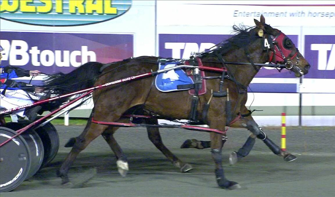 Personal best win: Hot Fraternity, out of the great mare Red Hot Date, gets up in the last stride at Gloucester Park last Friday night. Photo: Supplied.