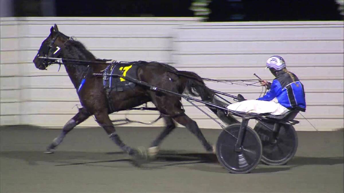Longshot: Luis Alberto and driver Jocelyn Young winning at Gloucester Park. Photo: Supplied.