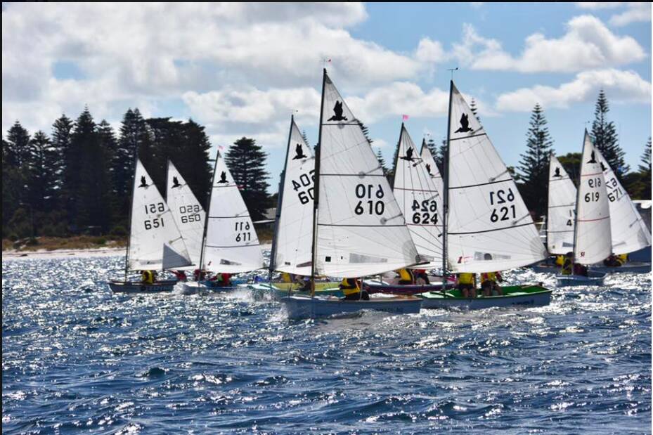 Geographe Bay Yacht Club's junior sailors took home the best team award for the second year running at the Pelican state championships held in Esperance.