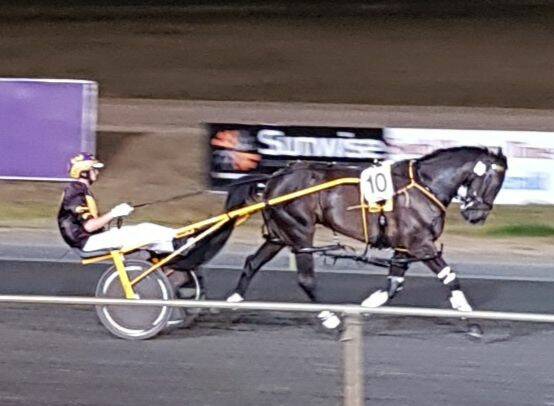 Proud moment: Captain Proud winning in Bunbury, with driver Cory Patterson. Photo: supplied.