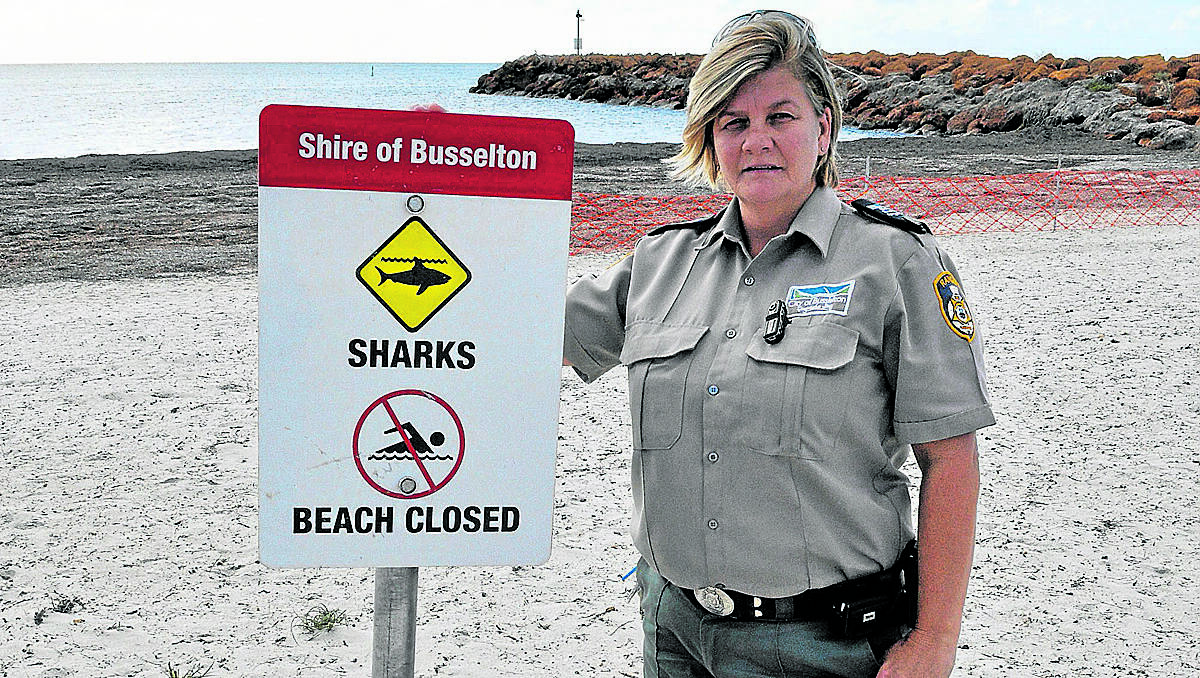 Signs warning of sharks became a theft target from beaches in April.